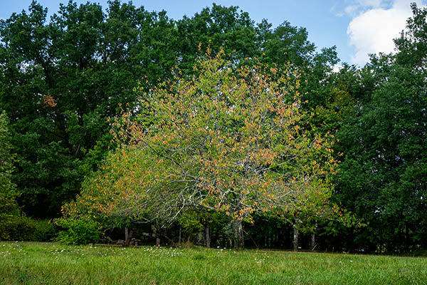 '11. Afbeelding wordt geladen...