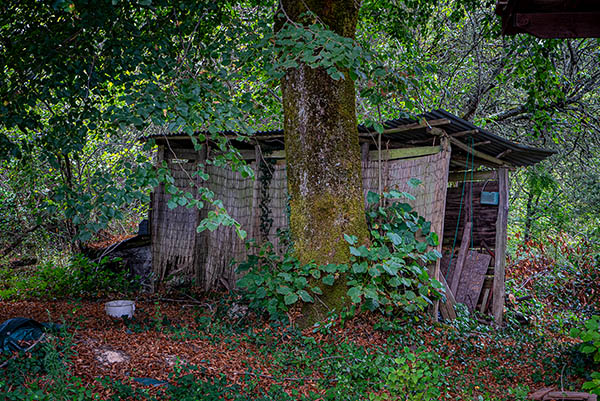 '12. Afbeelding wordt geladen...