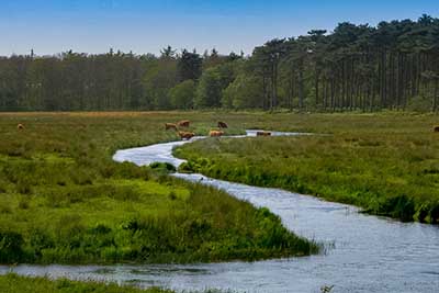 'Landschappen op Texel'. Fotografie Anton Staartjes