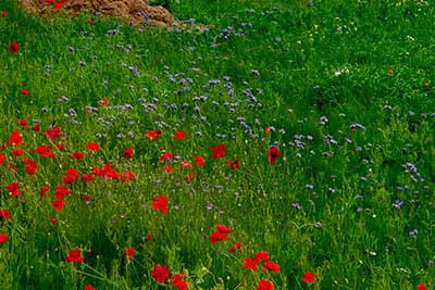 'Landschappen op Texel'. Fotografie Anton Staartjes