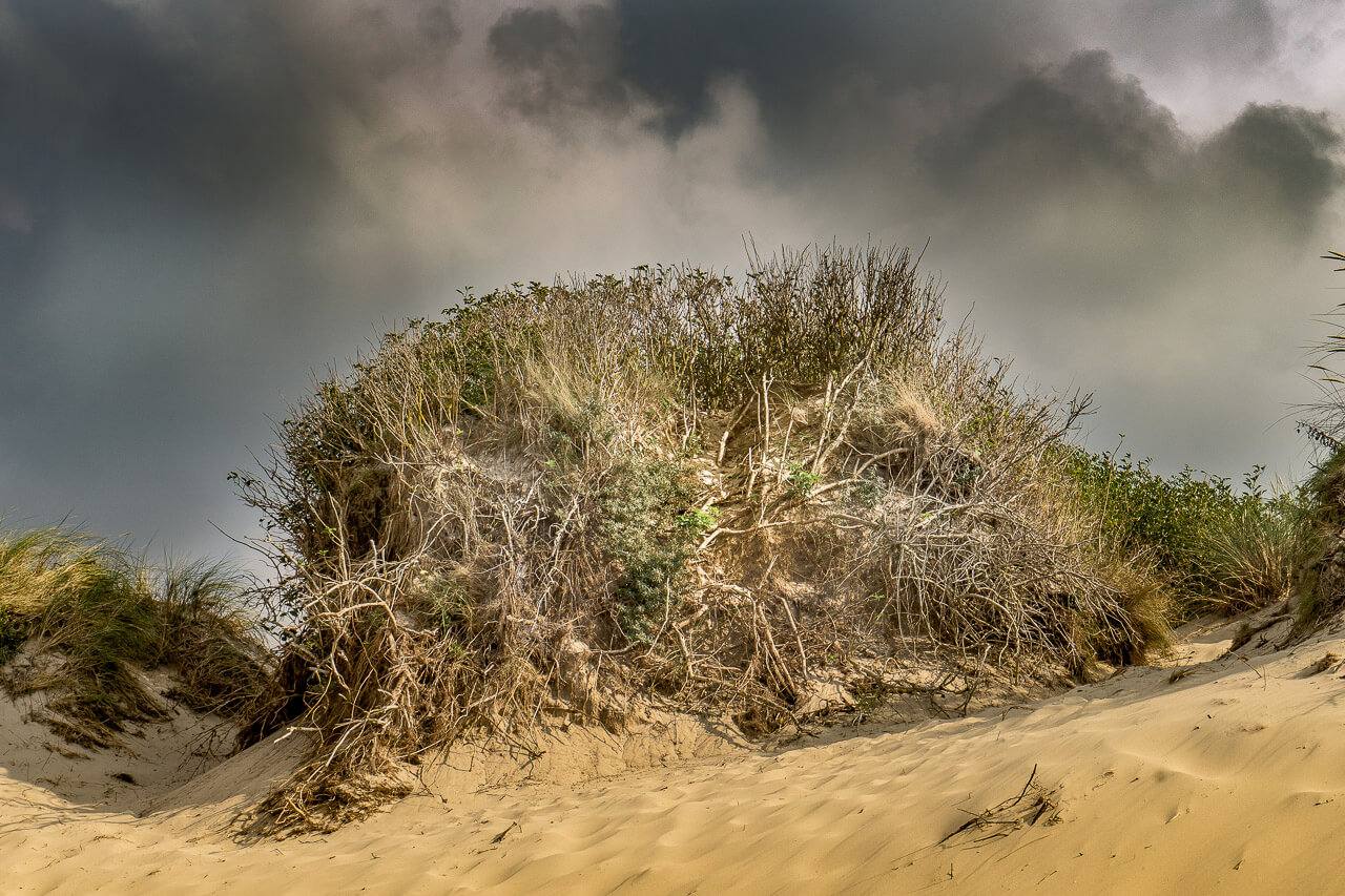 'Zee, strand en duinen op Texel'. Fotografie Anton Staartjes