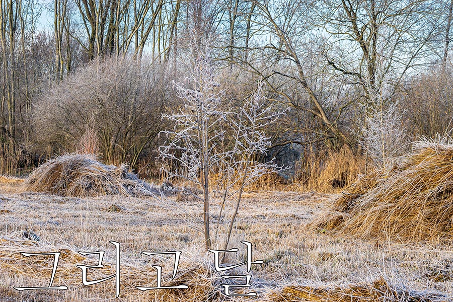 '5 .Winter. Fotografie Anton Staartjes.