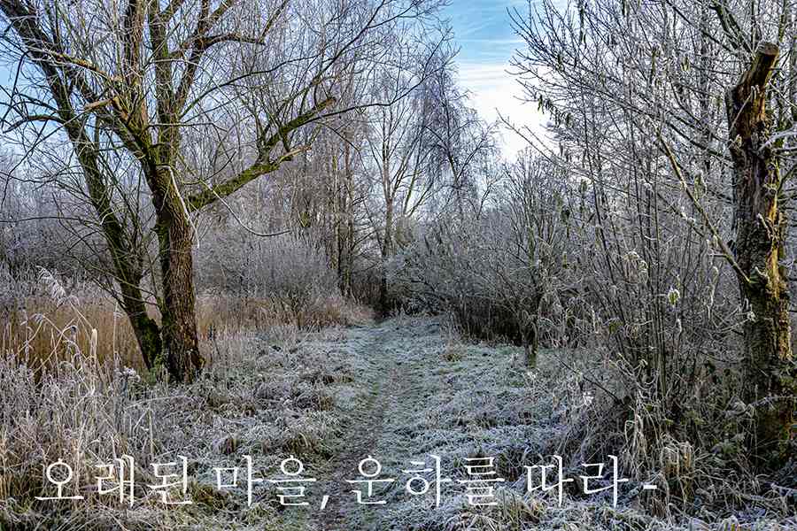 '6 Winter. Fotografie Anton Staartjes.