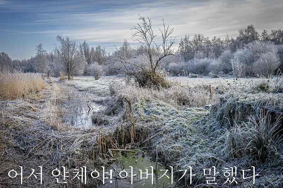 '17. Winter. Fotografie Anton Staartjes.