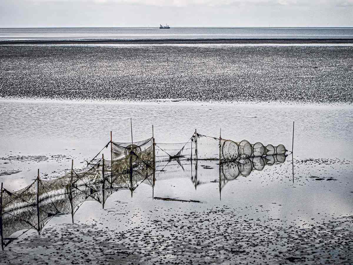 De zee