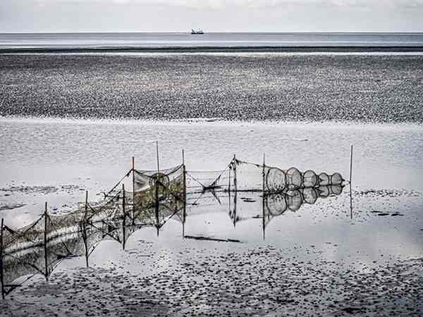 De Zee