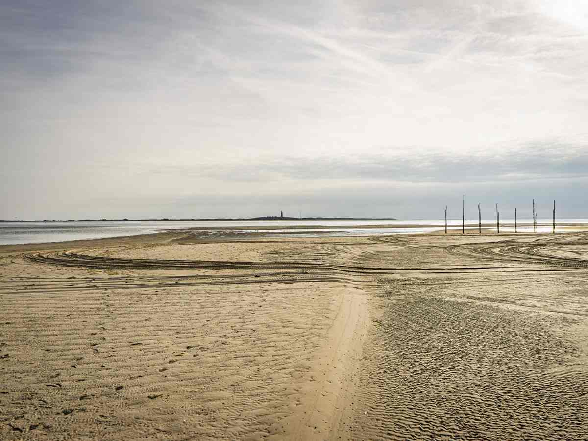2. De Vliehorst op Vlieland met de vuurtoren van Texel aan de horizon