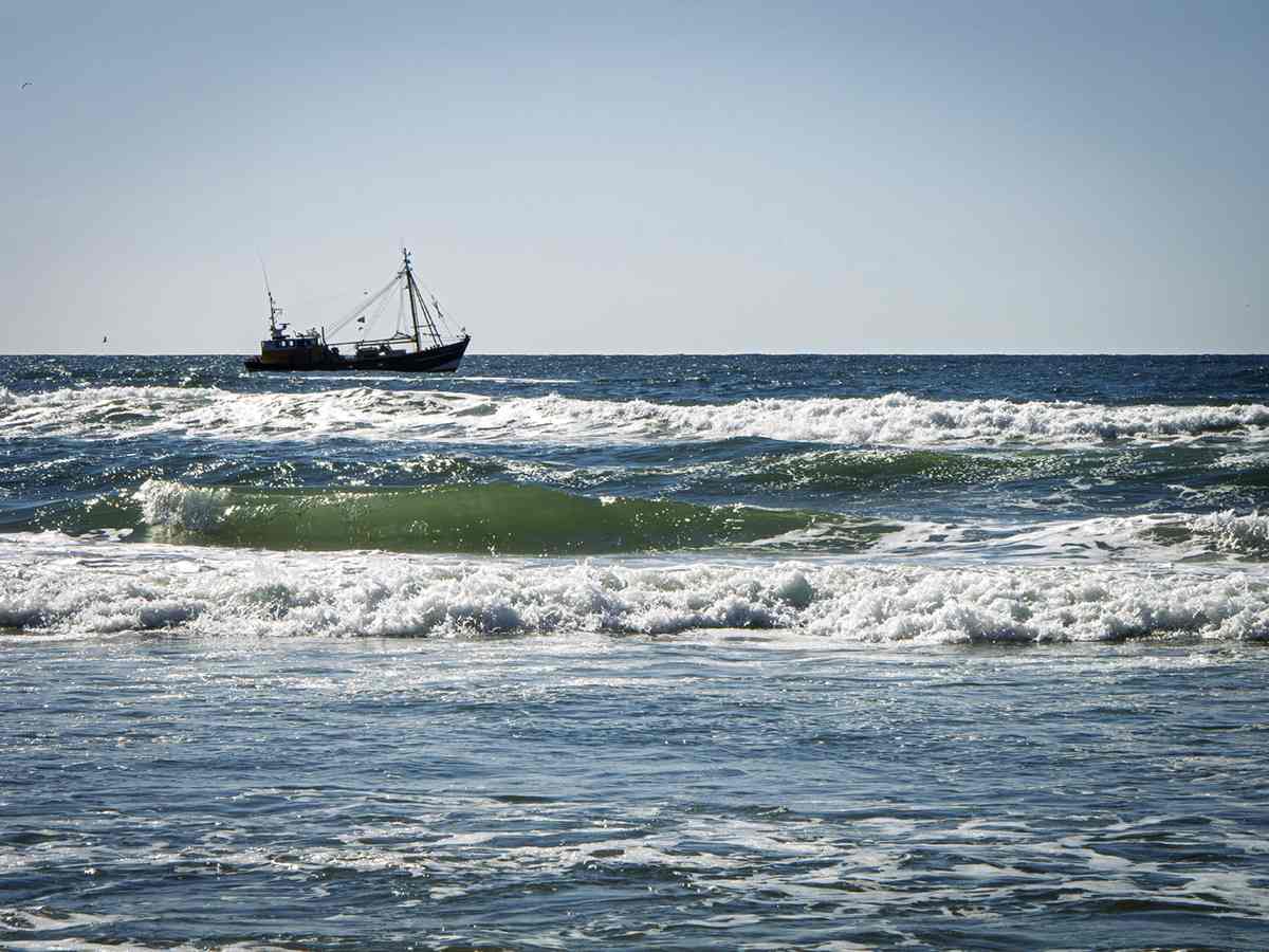  4. Een vissersboot vaart voorbij