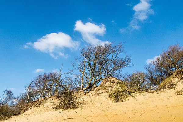 Afbeelding wordt geladen