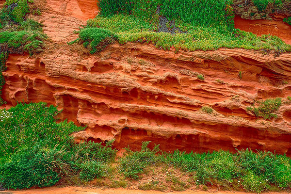 Afbeelding wordt geladen